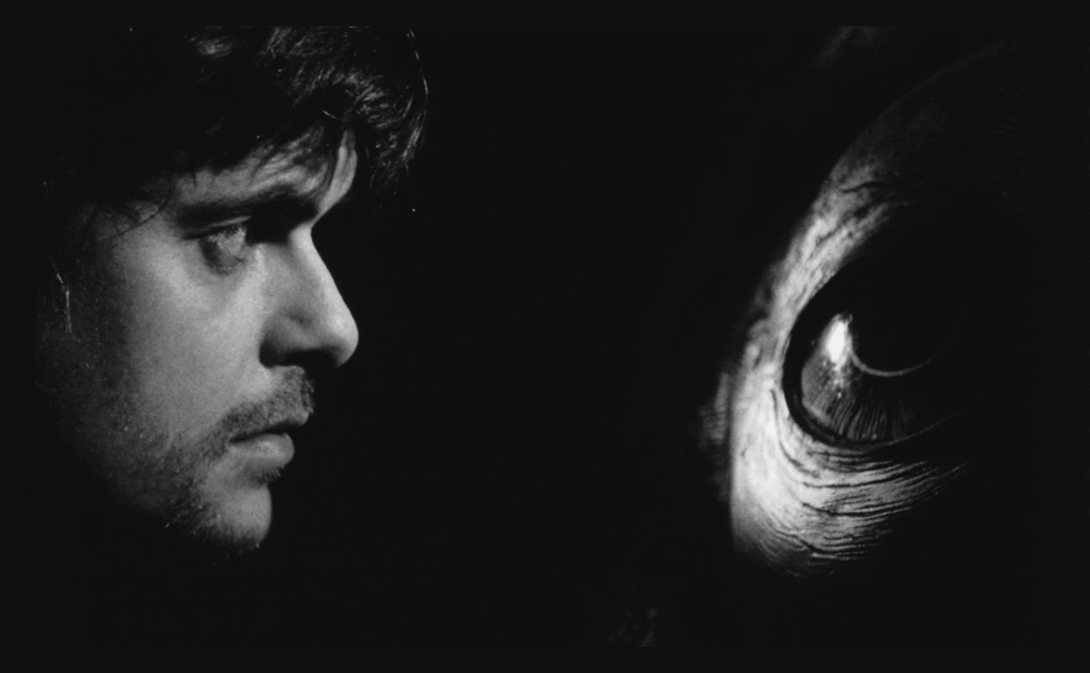 THE BEST OF THE BEST FCKNG FILM EVER